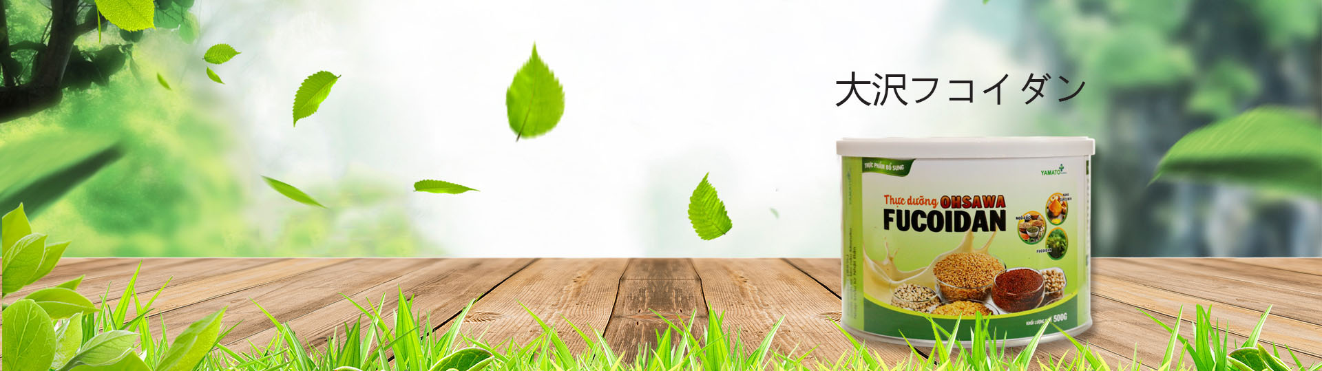 Thực dưỡng Ohsawa Fucoidan